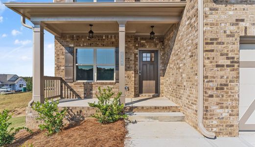 Porches at Mobley Lake by EMC Homes, LLC in Dacula - photo 19 19