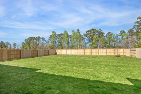 New construction Single-Family house 506 Pinabete Forest Ct Ct, Conroe, TX 77304 null- photo 5 5