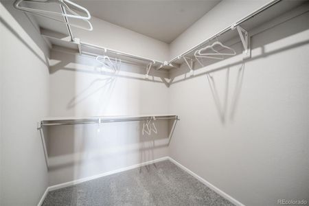 New construction Single-Family house 21845 E 51St Dr, Aurora, CO 80019 plan Soujourner - image 17