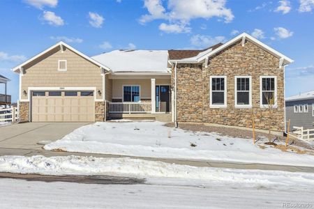 New construction Single-Family house 5041 Hickory Oaks St, Castle Rock, CO 80104 Hanford- photo 19 19