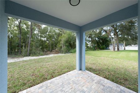 New construction Single-Family house 13850 Se 42Nd Ave, Summerfield, FL 34491 null- photo 46 46