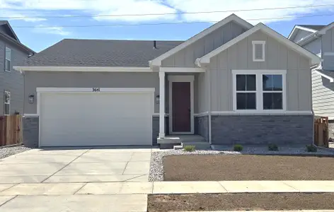 New construction Single-Family house 3641 Sandreed St, Dacono, CO 80514 plan The Livingston - image