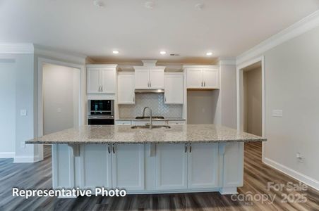 New construction Single-Family house 3009 Bent Willow Dr, Unit 160, Indian Trail, NC 28079 null- photo 7 7