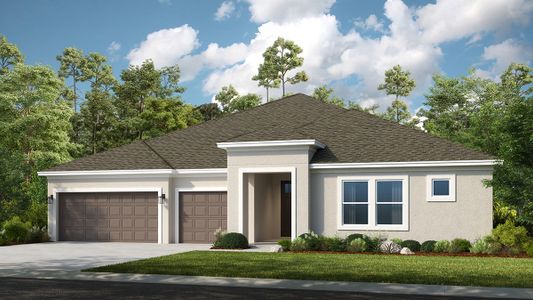 New construction Single-Family house Mount Dora, FL 32757 null- photo 3 3