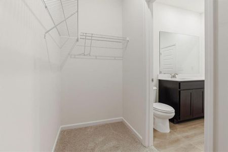 New construction Single-Family house 118 Lavender Cir, Calhoun, GA 30701 - image 16