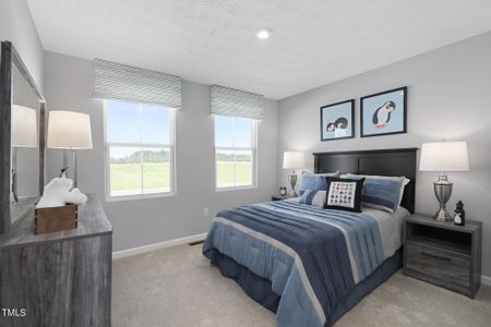 Williams Run by Ryan Homes in Bailey - photo 17 17