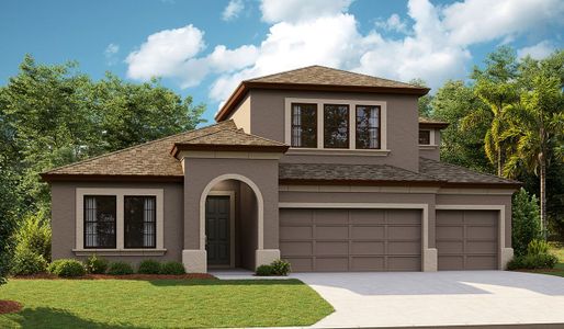 New construction Single-Family house 5379 Wolf Creek Dr, Apollo Beach, FL 33572 null- photo 2 2