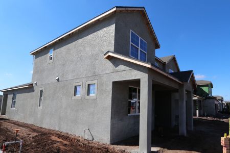 New construction Single-Family house 20264 Oriana Loop, Land O' Lakes, FL 34638 Santa Monica- photo 101 101