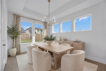 New construction Single-Family house 5315 Silk Petal Dr, Rosenberg, TX 77471 plan The Wilson - image 11