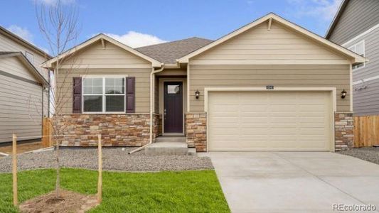 New construction Single-Family house 5949 Holstein Dr, Windsor, CO 80528 CHATHAM- photo 0 0