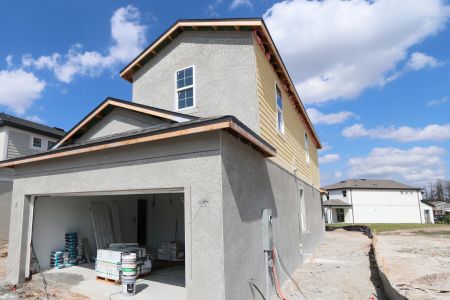 New construction Single-Family house 30980 Pendleton Landing Cir, Wesley Chapel, FL 33545 Magnolia- photo 91 91