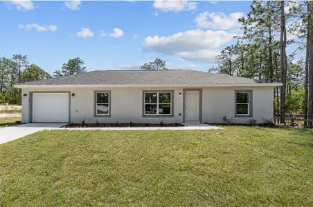 New construction Single-Family house 467 Sw Alvarez Rd, Dunnellon, FL 34432 - image