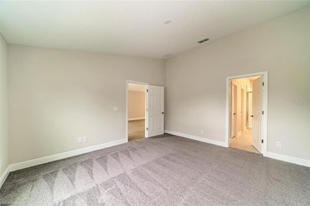 New construction Single-Family house 12358 Oak Hill Wy, Parrish, FL 34219 plan Bridgeport - image 17