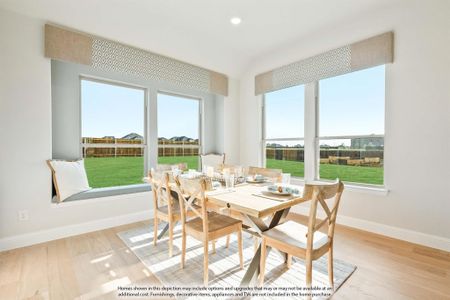New construction Single-Family house 4004 Miscellany Ln, Celina, TX 75078 plan Seaberry II - image 4