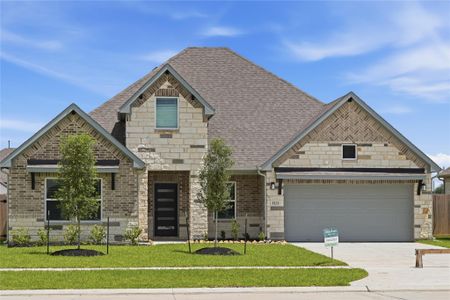 New construction Single-Family house 3523 Windmill Palm Dr, Alvin, TX 77578 - image