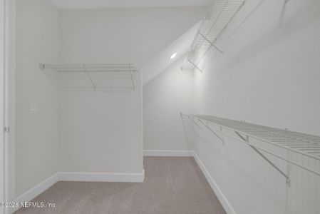 New construction Single-Family house 380 Seamark Dr, Nocatee, FL 32081 plan The Cypress - image 19