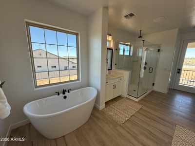 New construction Single-Family house 1081 E Peach Tree Dr, Chandler, AZ 85249 - image 9