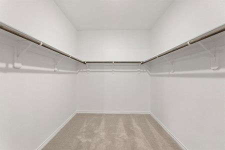 New construction Single-Family house 3855 Rose Hill Ct, Denison, TX 75020 - image 14