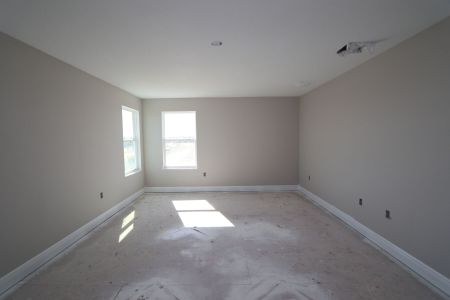 New construction Single-Family house 5762 Jeffries Way, Wesley Chapel, FL 33545 Newport II Bonus- photo 123 123