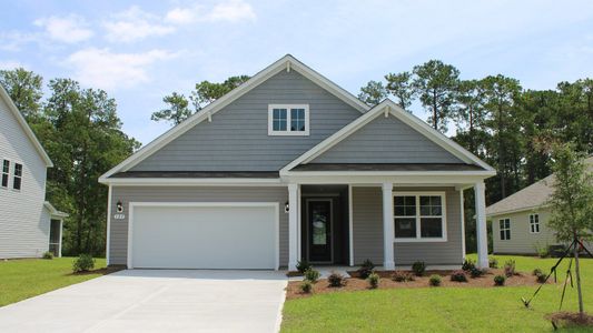 New construction Single-Family house 363 Hadley Springs Ave, Longs, SC 29568 plan Litchfield - image