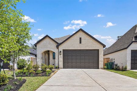 New construction Single-Family house 233 Trapper Creek Dr, Conroe, TX 77384 null- photo 0