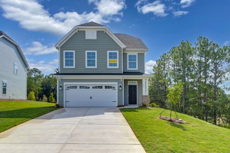 New construction Single-Family house 517 Frosty Ln, Lexington, SC 29072 plan Clayton - image