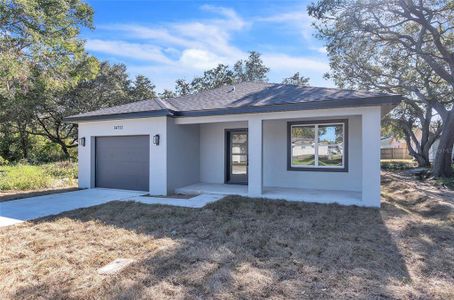 New construction Single-Family house 14712 Micah Street, Winter Garden, FL 34787 - photo 0