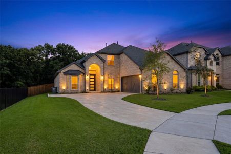 New construction Single-Family house 633 Willowmore Dr, Little Elm, TX 75068 - image
