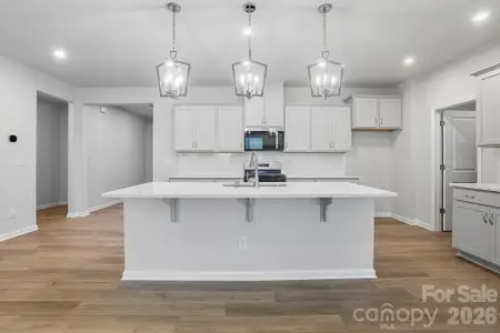 New construction Single-Family house 1330 Honey Trl, Monroe, NC 28112 plan Appalachian - image