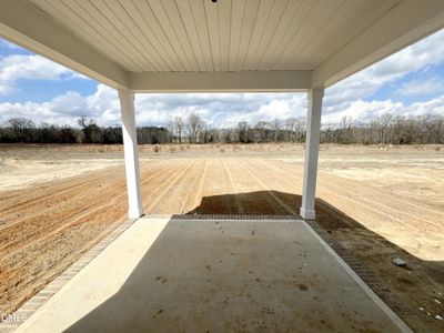 New construction Single-Family house 313 Creeks Edge Dr, Pikeville, NC 27863 - image