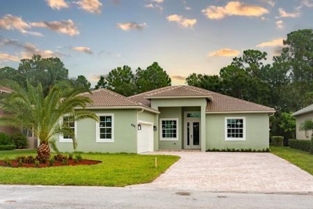 New construction Single-Family house 436 Nw Dover Ct, Port St. Lucie, FL 34983 - image