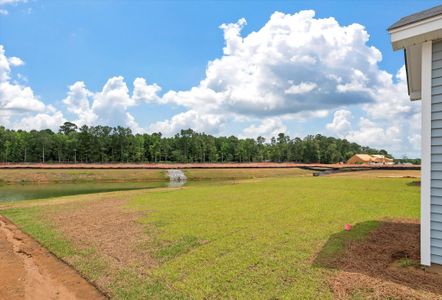 New construction Single-Family house 113 Palfrey Dr, Ridgeville, SC 29472 Raleigh- photo 17 17