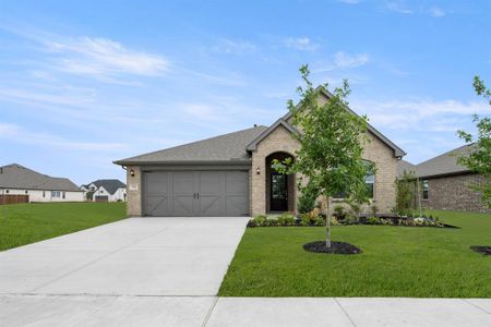 New construction Single-Family house 732 Scarlet Sage Dr, Waxahachie, TX 75165 plan Austin - image