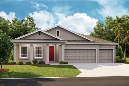 New construction Single-Family house 5283 Wolf Creek Dr, Apollo Beach, FL 33572 null- photo 0