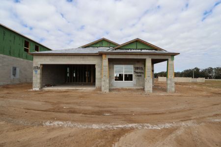 New construction Single-Family house 38413 Tobiano Loop, Dade City, FL 33525 Picasso- photo 21 21