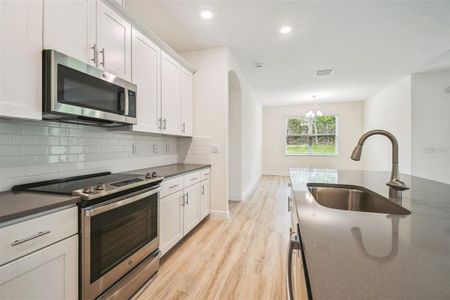 New construction Single-Family house 11303 Striped Bass Ct, New Port Richey, FL 34654 - image 13