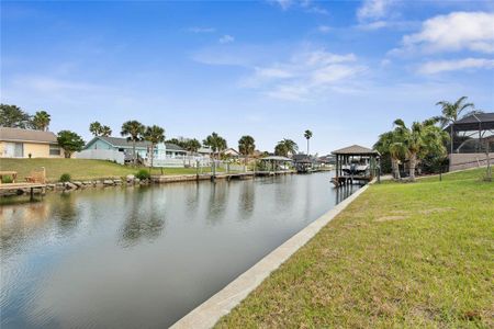 New construction Single-Family house 9 Coolidge Ct, Palm Coast, FL 32137 null- photo 50 50