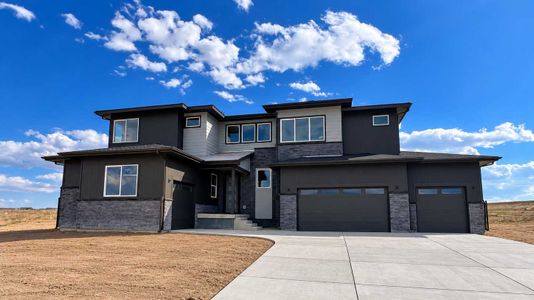 New construction Single-Family house 10370 St. Mary Pt, Parker, CO 80138 plan The Montclair - image