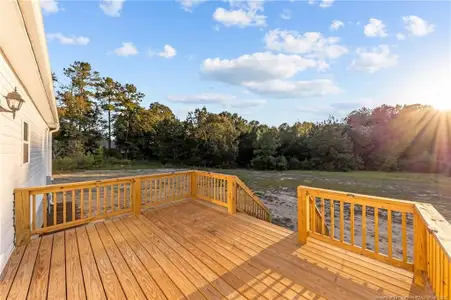 New construction Single-Family house 390 Major Rd, Carthage, NC 28327 - image