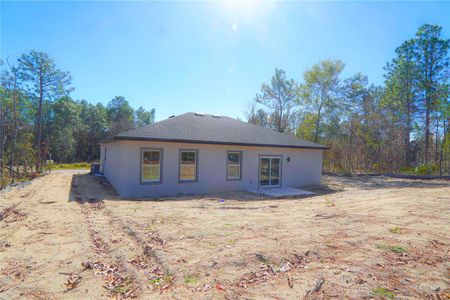 New construction Single-Family house 8413 Sw 131St Ln, Ocala, FL 34473 - image