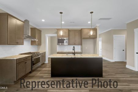 New construction Single-Family house 1126 Brookfield Dr, Gibsonville, NC 27249 - image