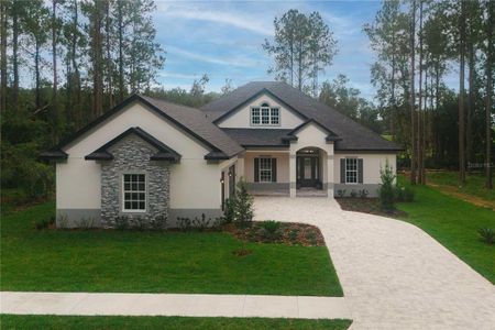 New construction Single-Family house 19554 Autumn Oak Lane, Brooksville, FL 34601 - photo 0