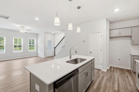 New construction Townhouse house 4618 Lakeview Rd, Charlotte, NC 28216 plan Cannalily - image 13