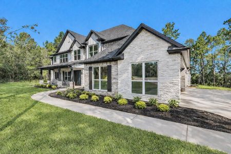 New construction Single-Family house 8604 Trinity Pines Ct, Montgomery, TX 77316 - image