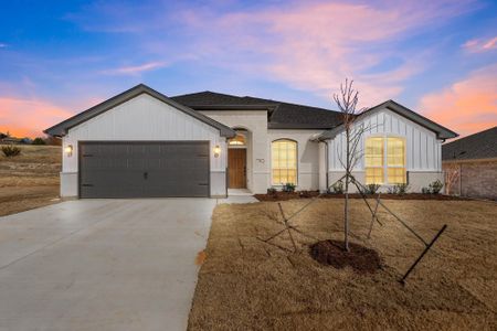 Terra Vista by Cheldan Homes in Springtown - photo 3 3