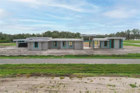 New construction Single-Family house 19211 Gunn Hwy, Odessa, FL 33556 plan Darsh - image