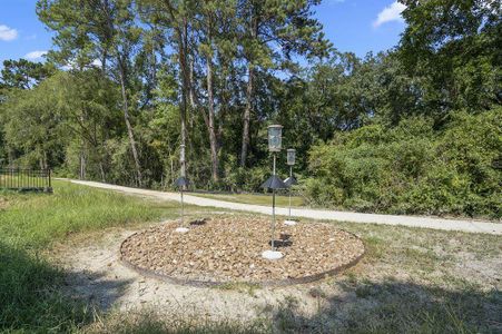 New construction Single-Family house 40423 Gerygone Ln, Magnolia, TX 77354 Darlington- photo 4 4