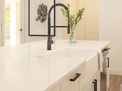 Kitchen with matte black hardware