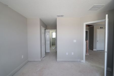 New construction Single-Family house 31236 Denham Ridge Ln, Wesley Chapel, FL 33545 Santa Monica- photo 79 79