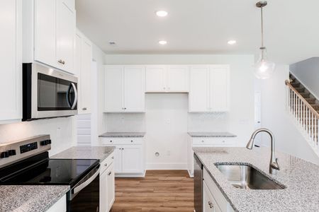 New construction Single-Family house 27 Cypress Moss Ct, Lillington, NC 27546 plan Summit - image 5